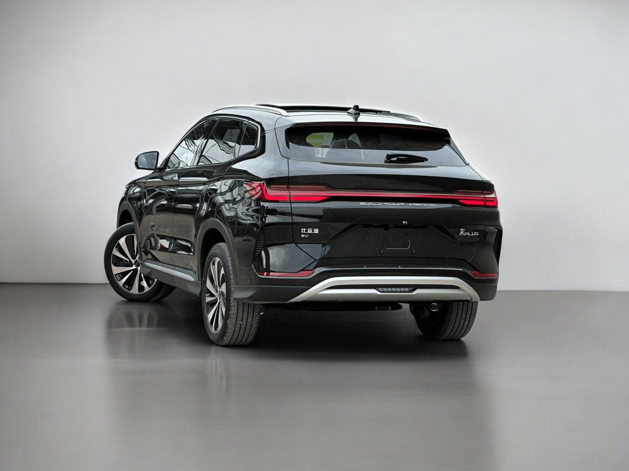 byd-champion-4